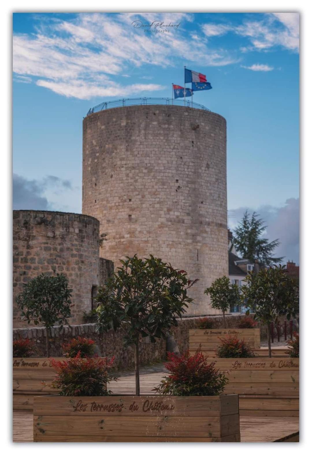Chambre d'hôtes du Château Dourdan Exterior foto